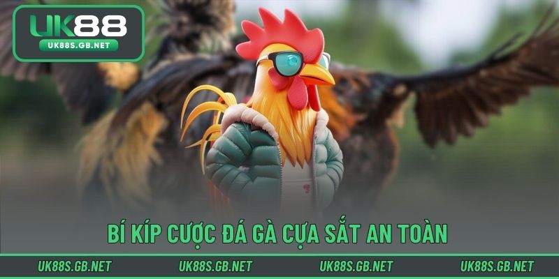 Bí kíp cược đá gà cựa sắt an toàn