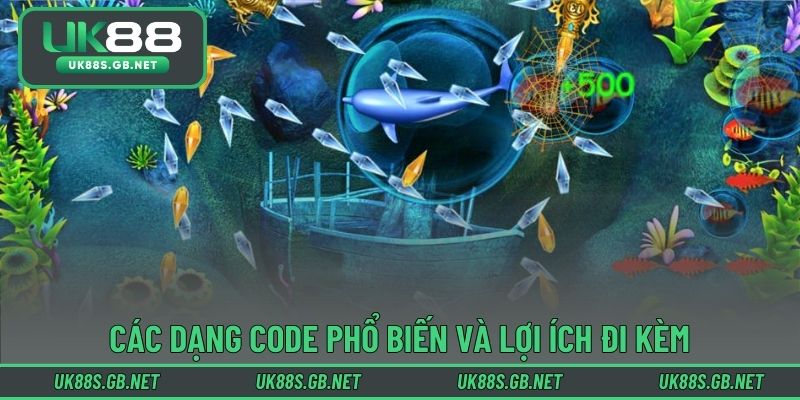 Các dạng code phổ biến và lợi ích đi kèm