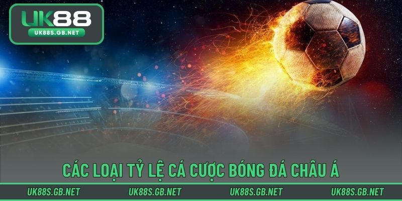 Các loại tỷ lệ cá cược bóng đá châu Á cần nắm vững