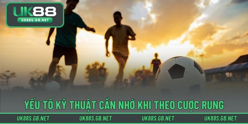 Các yếu tố kỹ thuật cần nhớ khi theo cược rung