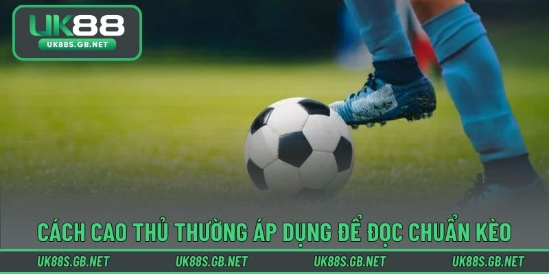 Cách các cao thủ thường áp dụng để đọc chuẩn kèo