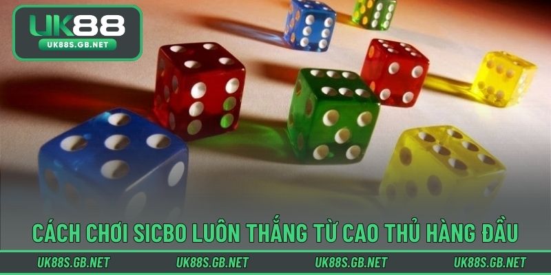 Cách chơi sicbo luôn thắng từ cao thủ hàng đầu