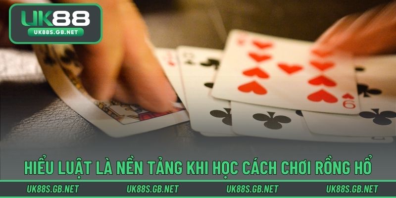 Hiểu luật là nền tảng khi học cách chơi rồng hổ online