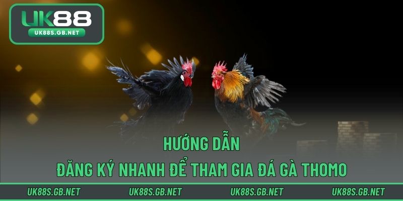 Hướng dẫn đăng ký nhanh để tham gia đá gà Thomo