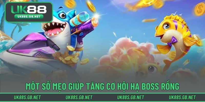 Một số mẹo giúp tăng cơ hội hạ boss rồng