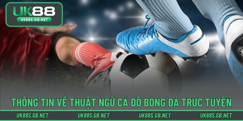 Thông tin về thuật ngữ cá độ bóng đá trực tuyến