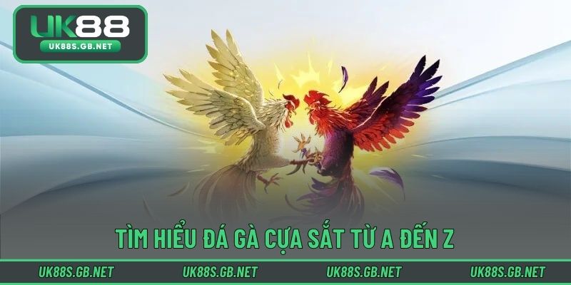 Tìm hiểu đá gà cựa sắt từ A đến Z