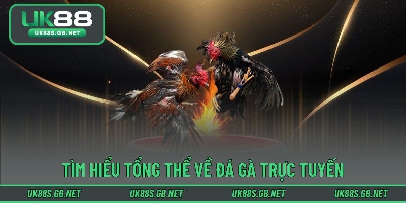 Tìm hiểu tổng thể về đá gà trực tuyến