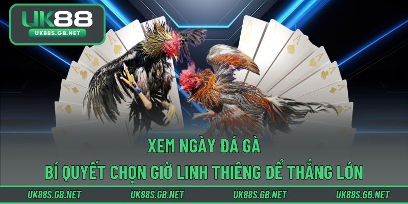 Xem Ngày Đá Gà - Bí Quyết Chọn Giờ Linh Thiêng Để Thắng Lớn